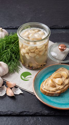 Kiszony czosnek – naturalny probiotyk, właściwości i domowy przepis krok po kroku
